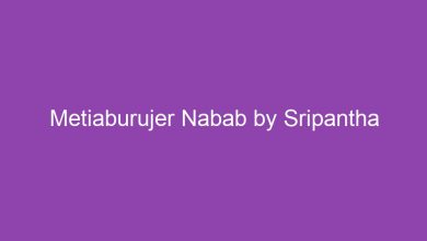Photo of মেটিয়াবুরুজের নবাব PDF Download (শ্রীপান্থ) – Metiaburujer Nabab by Sripantha